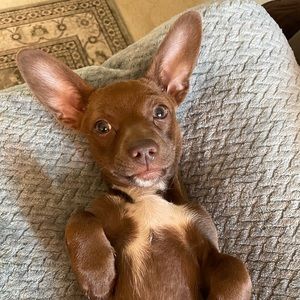 Meet your Posher, Esmeralda